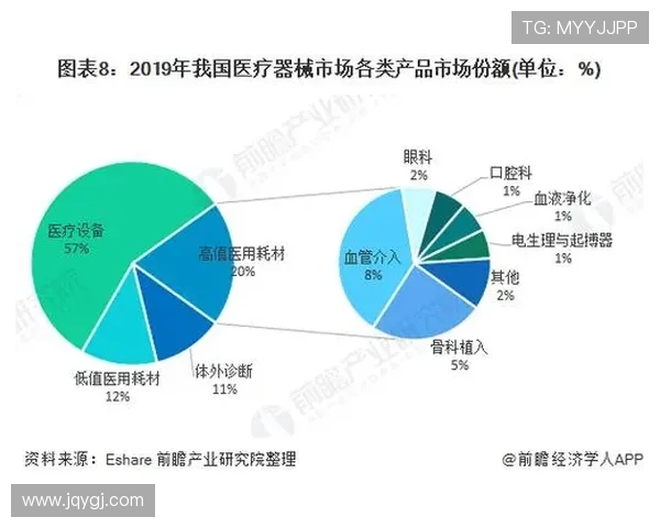 德国足球甲级联赛发展历程与当前竞争态势分析