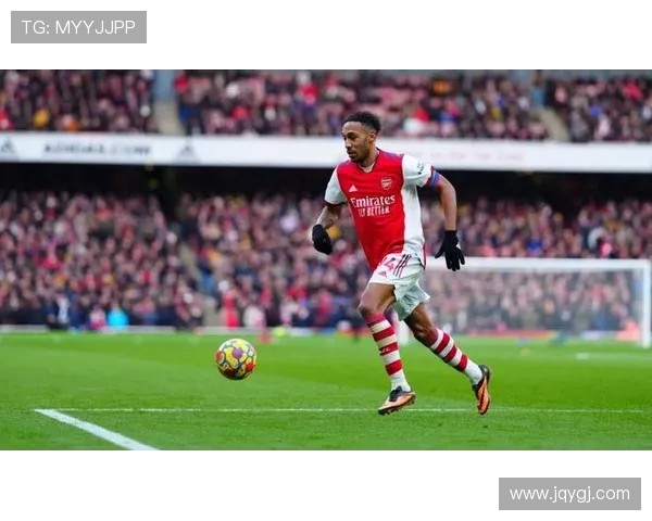 聚焦森林狼俱乐部发展历程与球队文化建设的时代价值探索深度解析